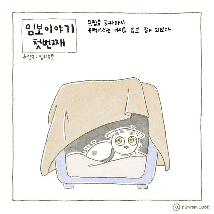 종이_A4크기 24.jpg