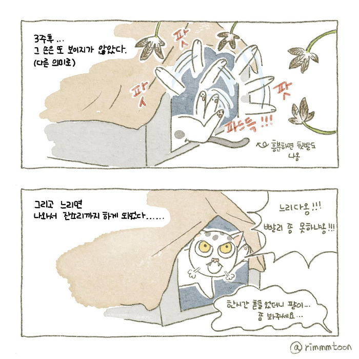 종이_A4크기 41.jpg