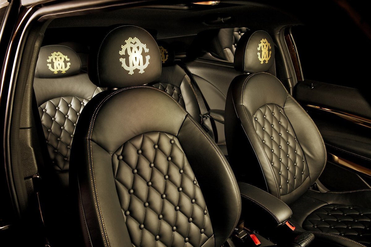 roberto-cavalli-creates-golden-mini-paceman-photo-gallery_19.jpg