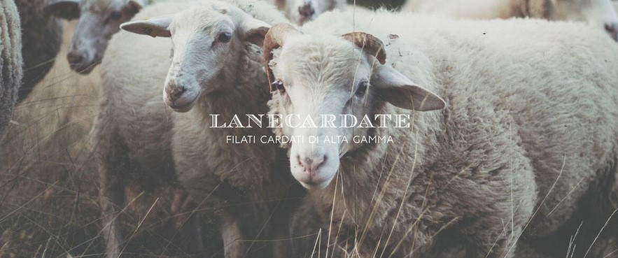 화면 캡처 2024-11-06 001733.jpg