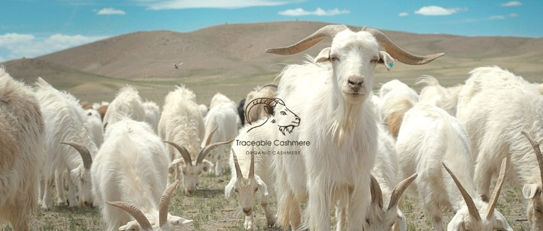 화면 캡처 2024-11-06 001750.jpg