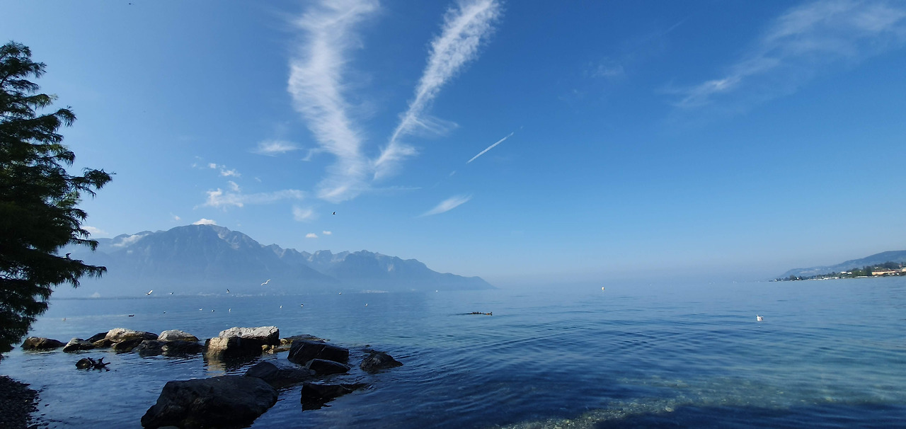 20190831_112628 (1).jpg