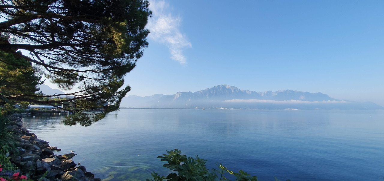 20190831_092708 (1).jpg