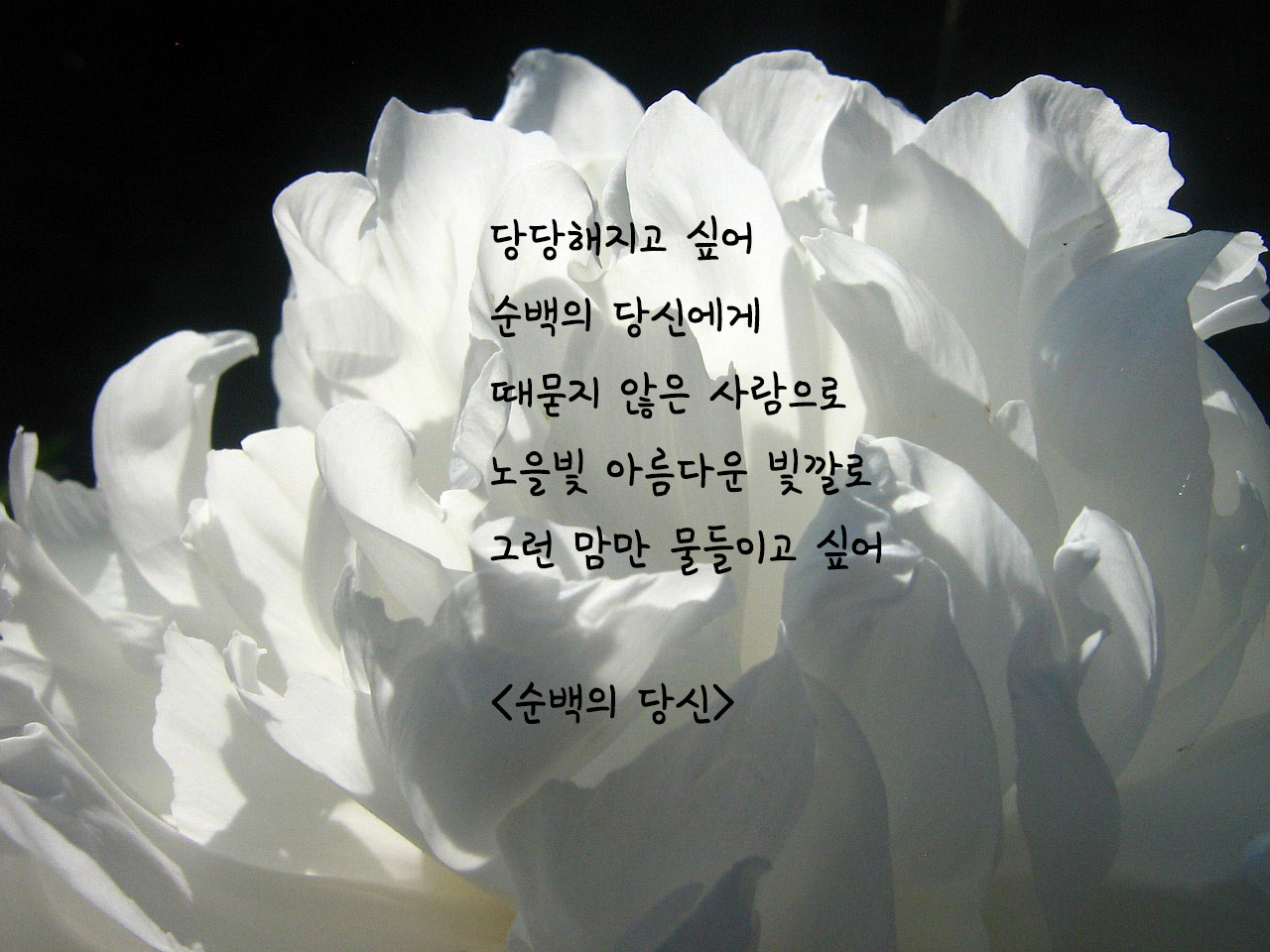 순백의 당신.jpg