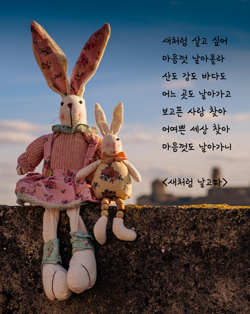 새처럼 날고파.jpg