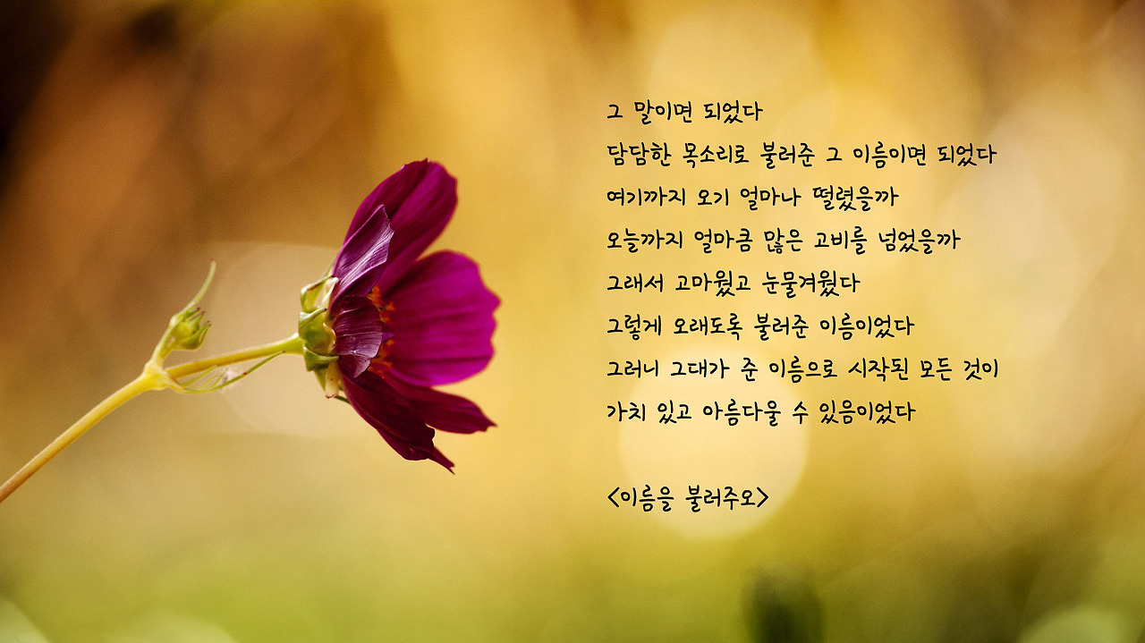 이름을 불러주오.jpg