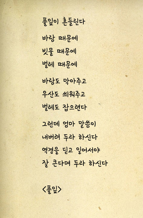 풀잎.jpg