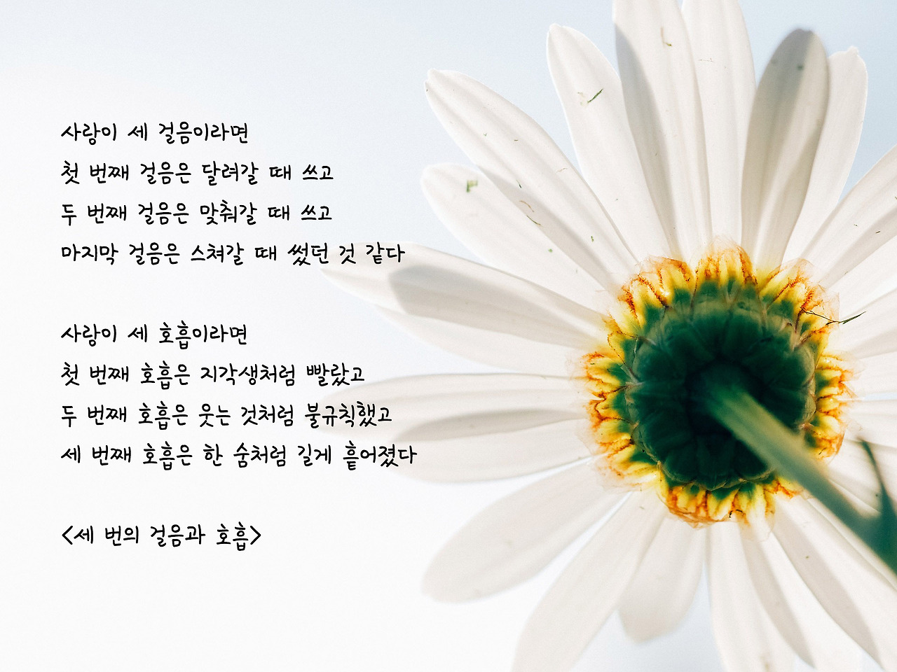 세 번의 걸음과 호흡.jpg
