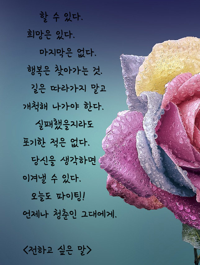 전하고 싶은 말.jpg