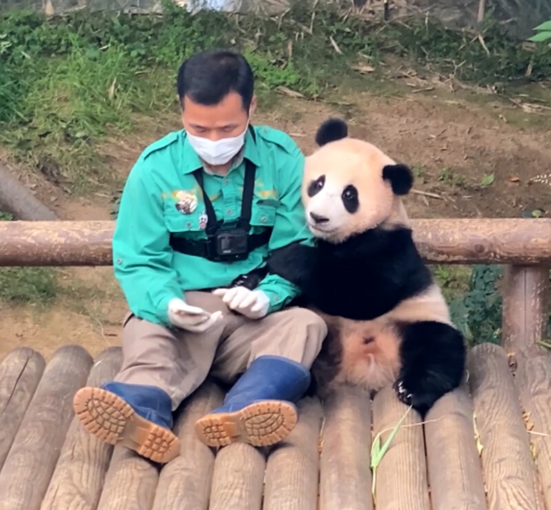 잘가라 푸바오.jpg