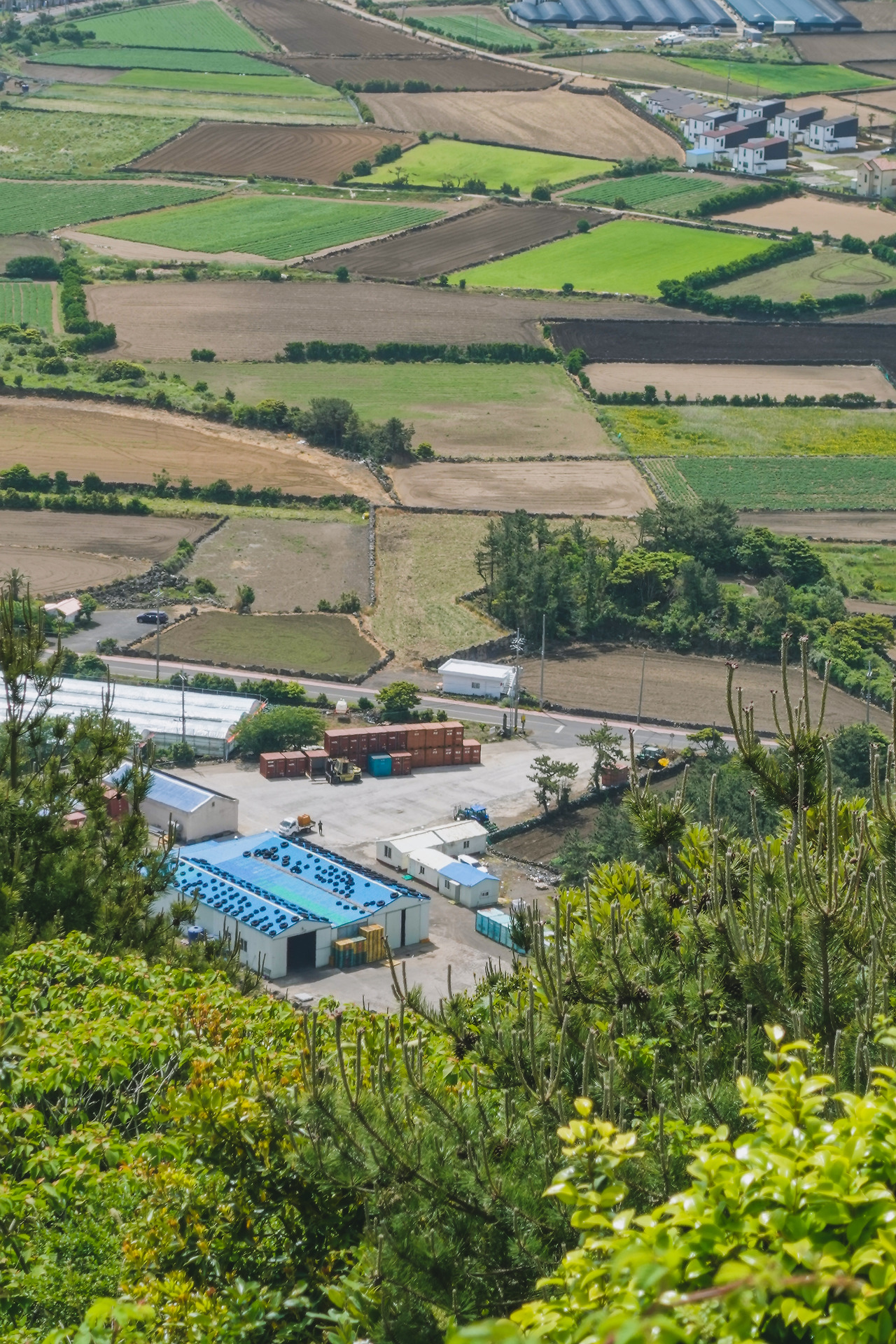 지미봉 보정본-10.jpg