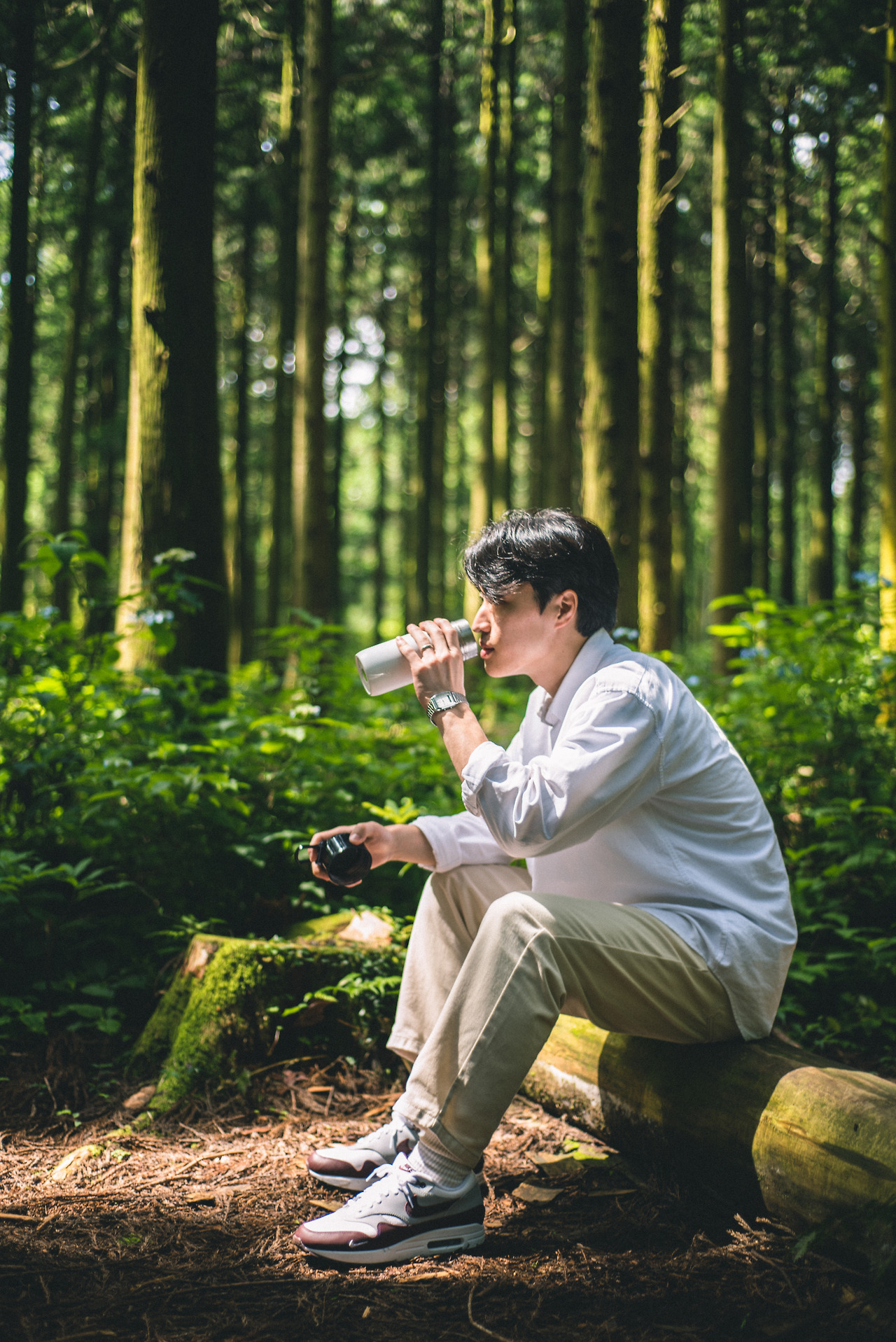 사려니숲길 산책-3.jpg