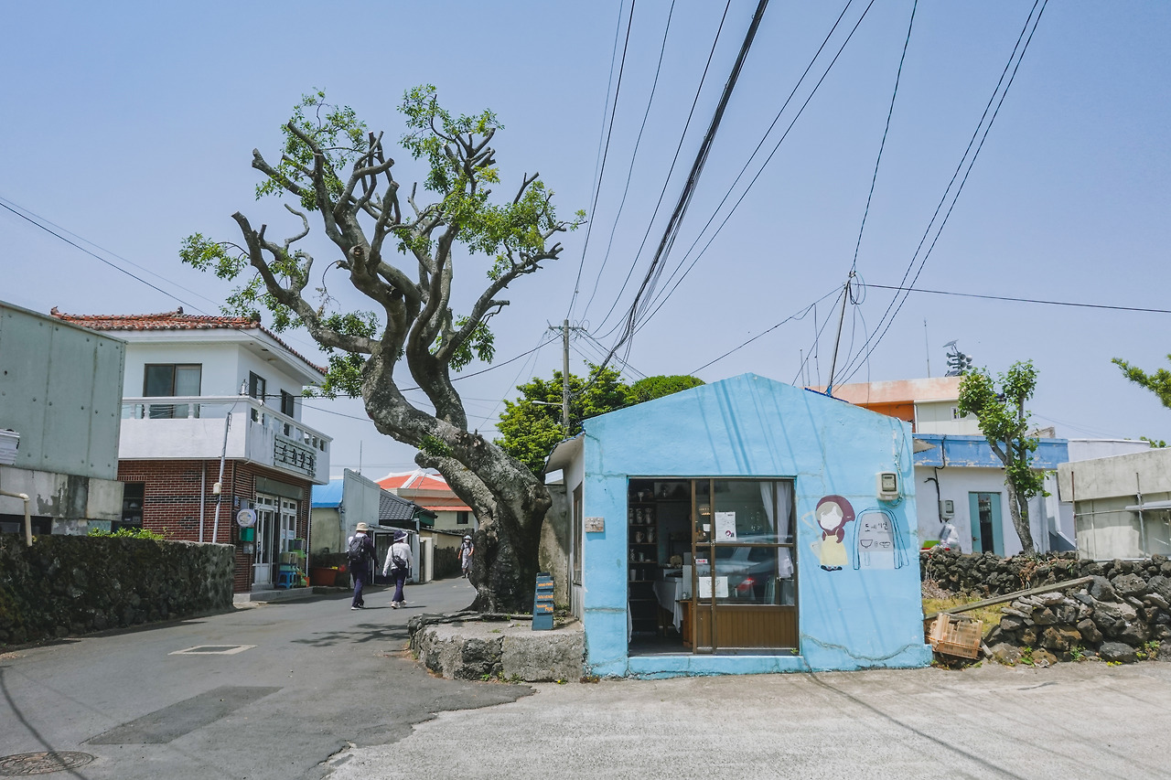 종달리 골목 보정본9.jpg