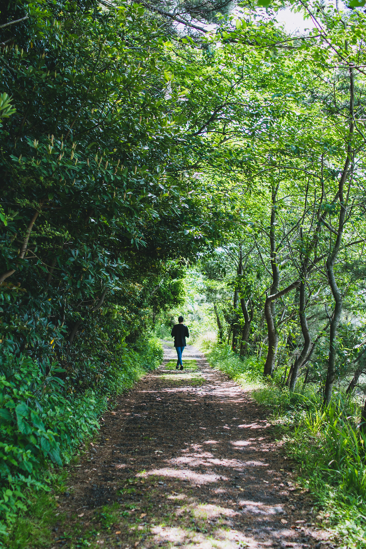 지미봉 보정본-8.jpg