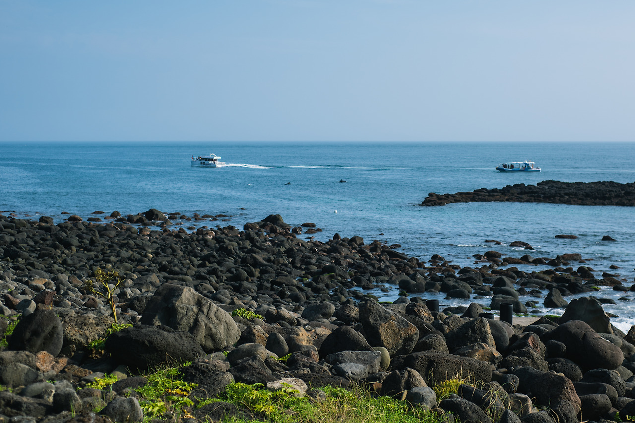 돌고래 해안-1.jpg