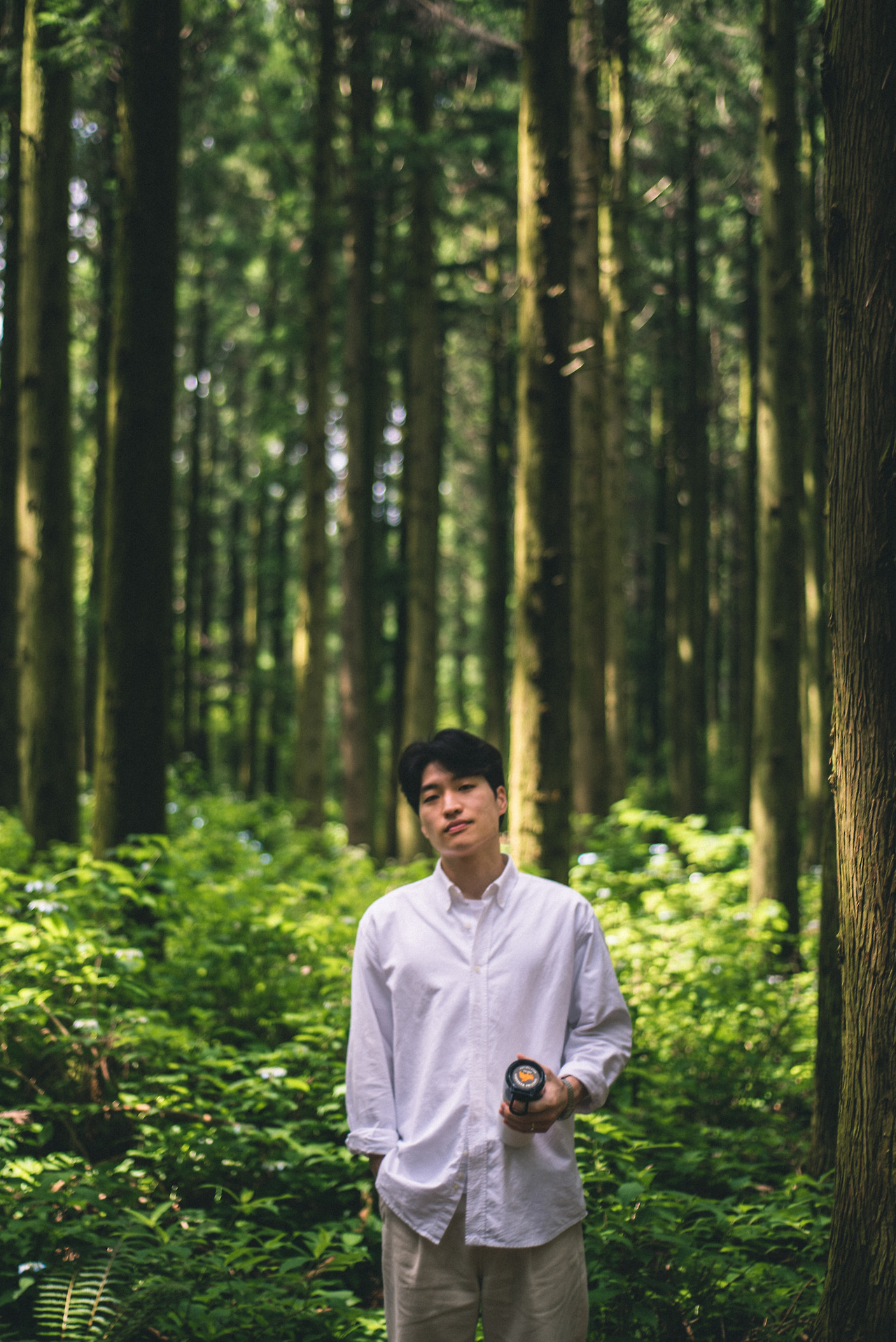 사려니숲길 산책-2.jpg