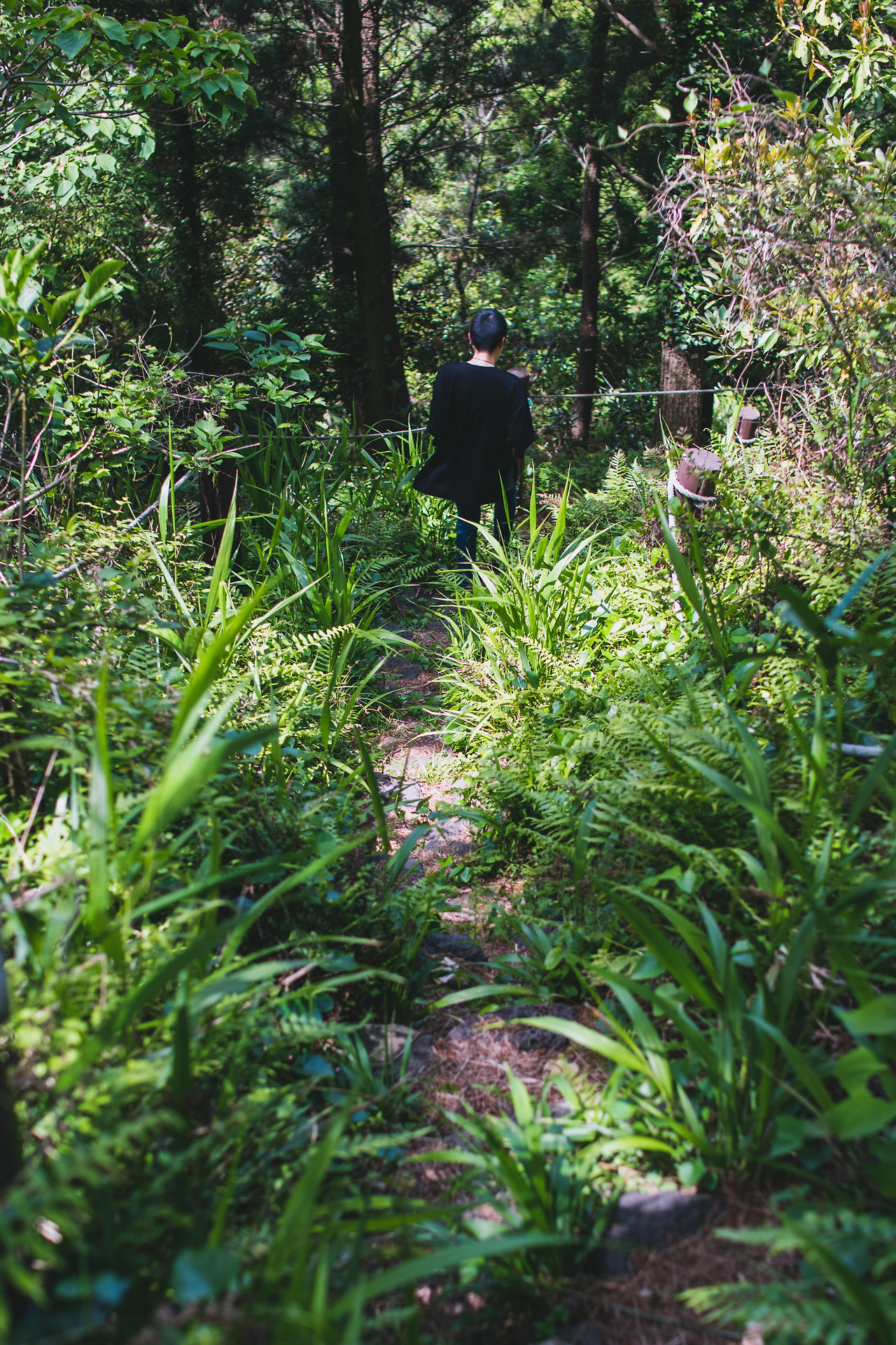 지미봉 보정본-7.jpg