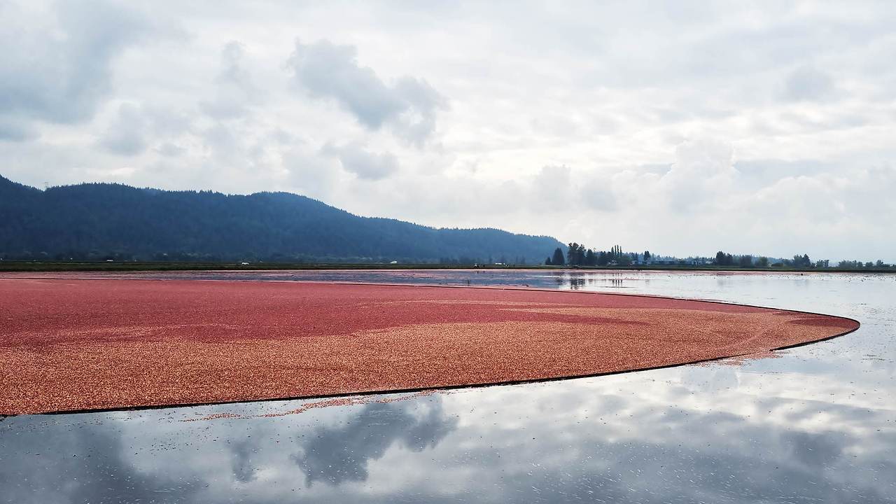 [꾸미기]20251004_121531(0) 복사.jpg