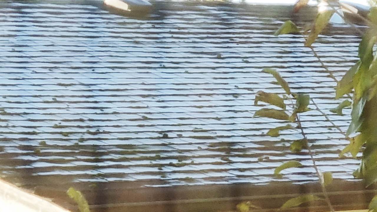 [꾸미기]20251014_093528 복사.jpg