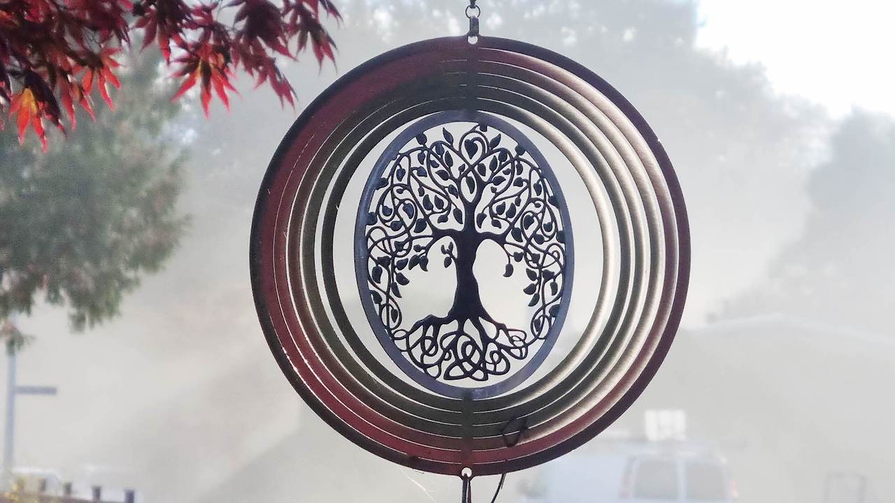 [꾸미기]20251015_090638 복사.jpg