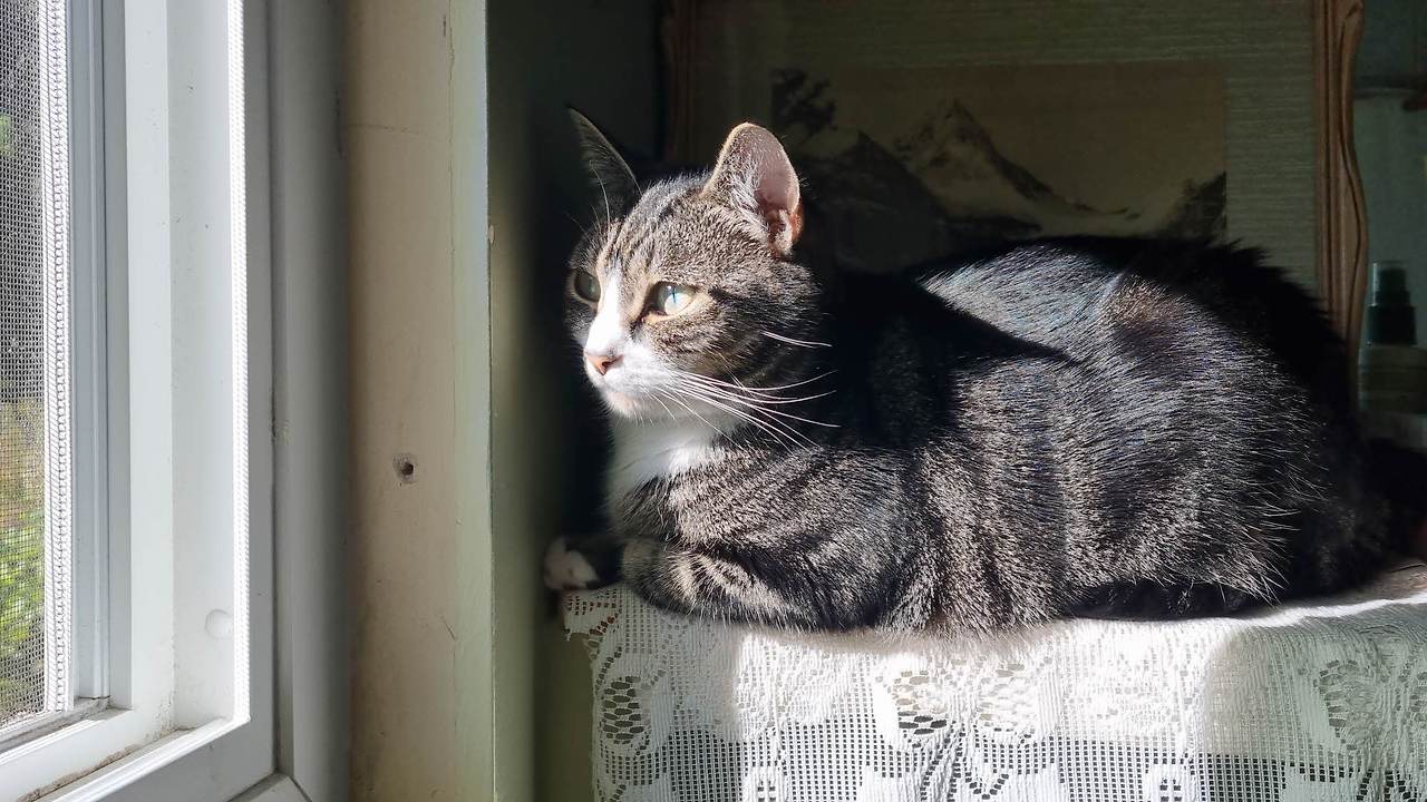 [꾸미기]20251005_105134 복사.jpg