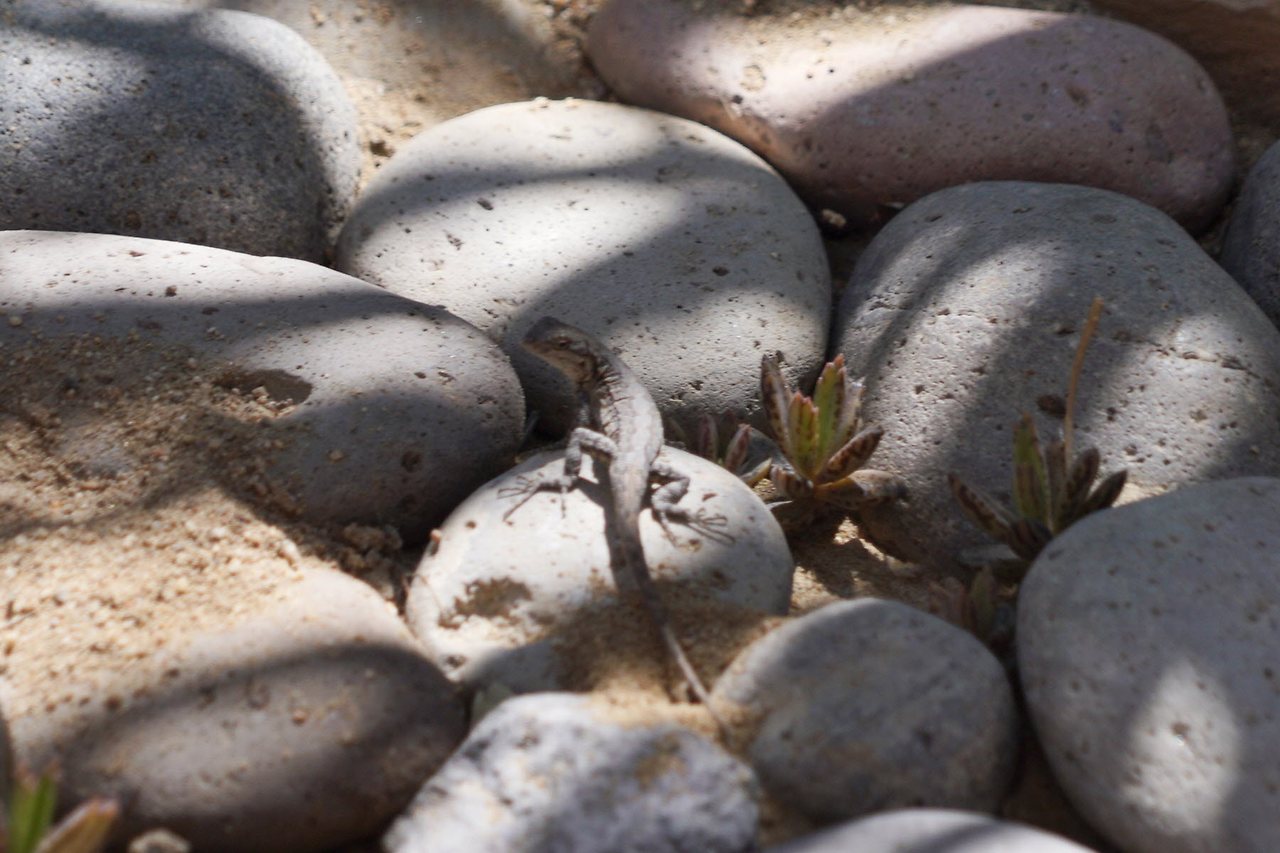 [꾸미기]DSC02288 복사.jpg