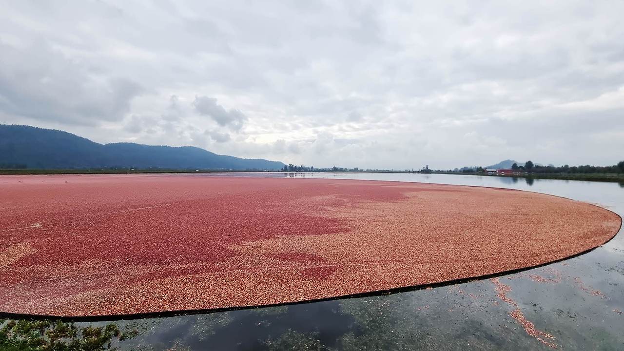 [꾸미기]20251004_121541 복사.jpg