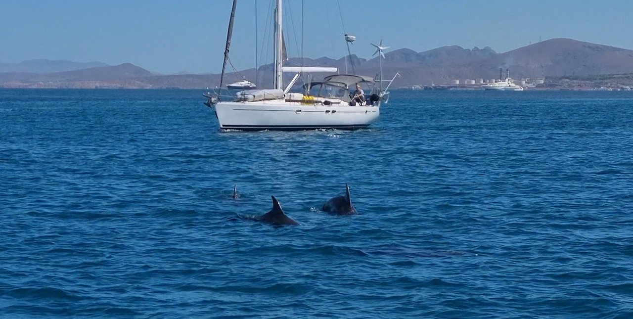 [꾸미기]20240428_114142_2 복사.jpg