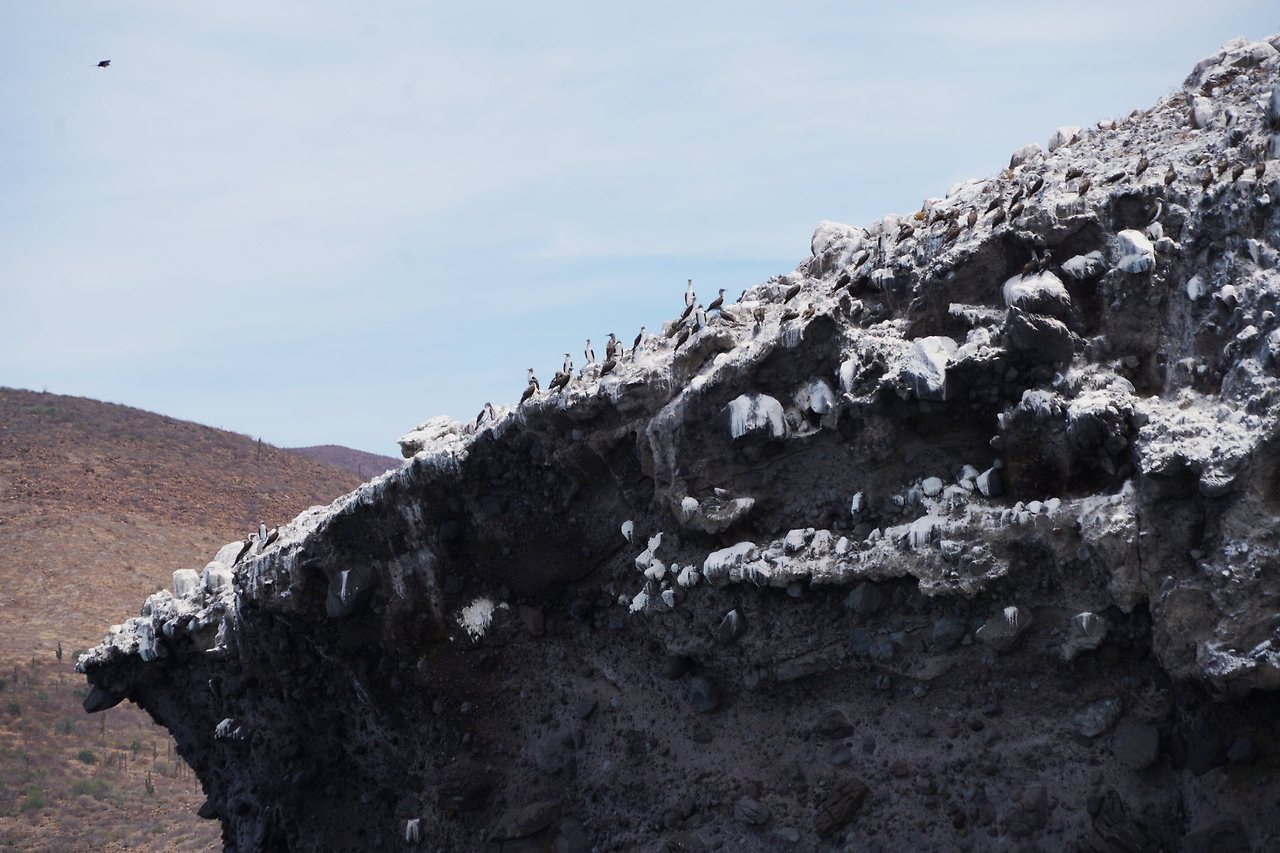 [꾸미기]DSC03727 복사.jpg