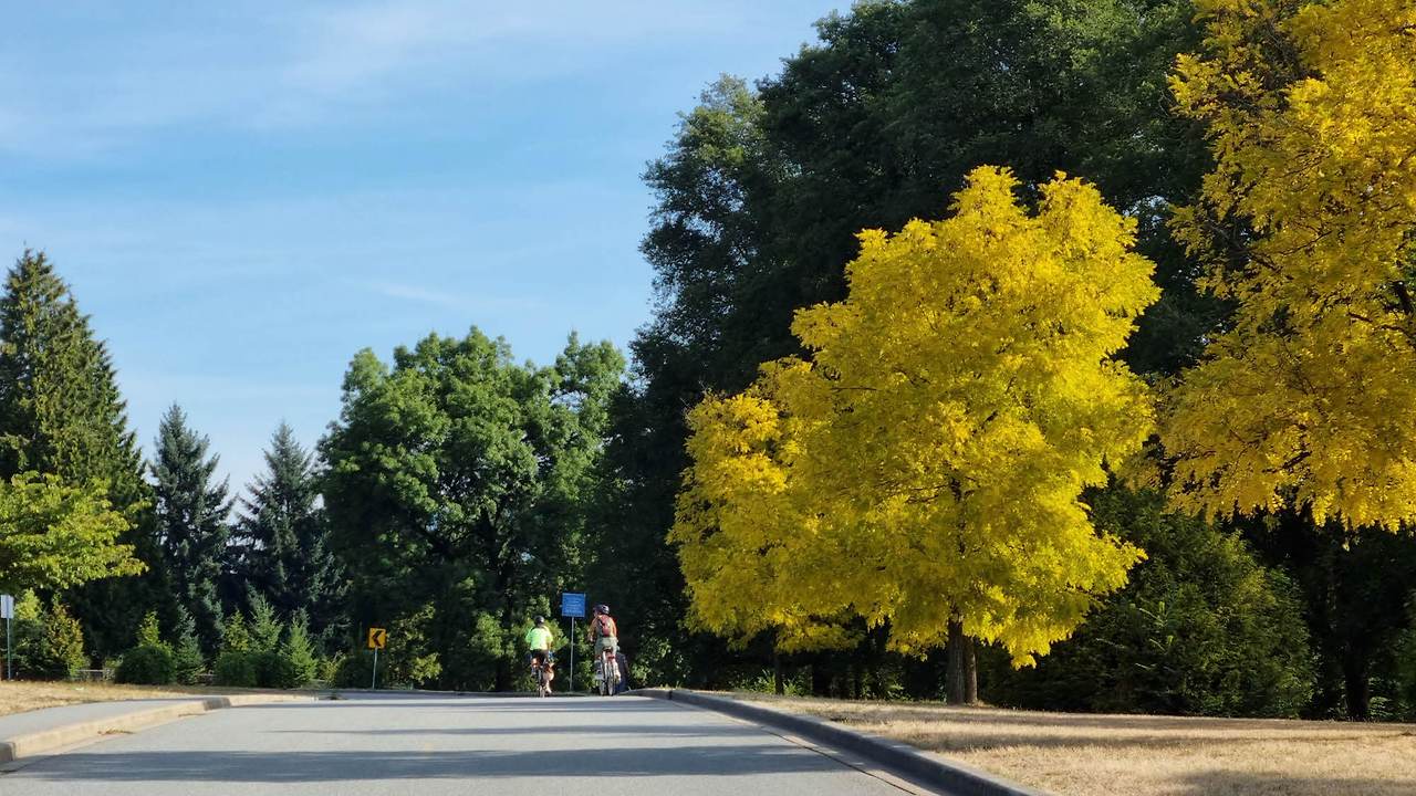 [꾸미기]20250809_104622 복사.jpg