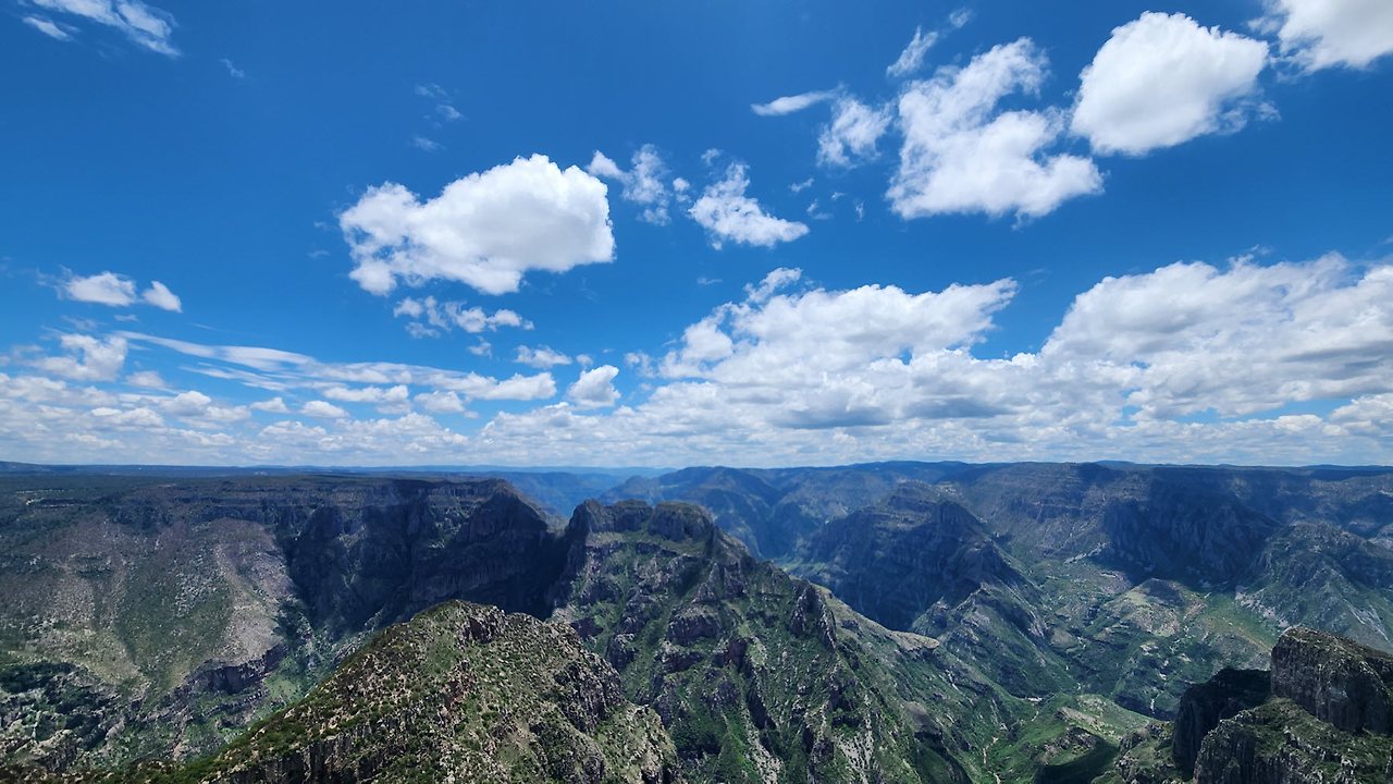 [꾸미기]20240719_125816 - 복사본 - 복사본.jpg