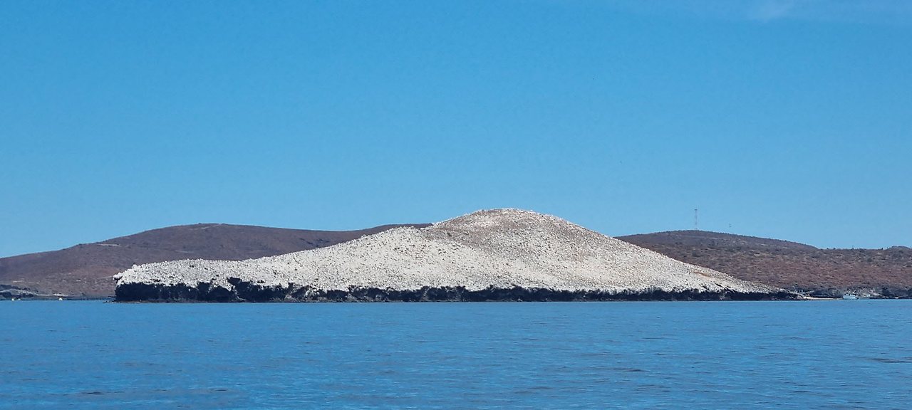 [꾸미기]20240427_113310 복사.jpg