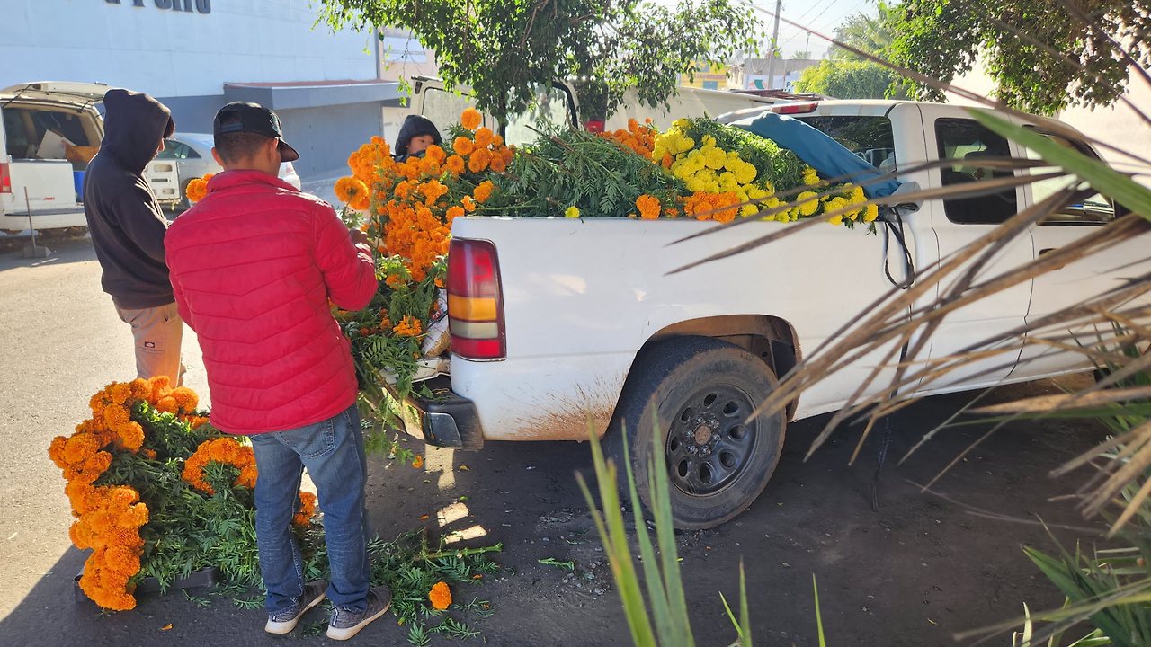 [꾸미기]20231028_083911 - 복사본 - 복사본.jpg