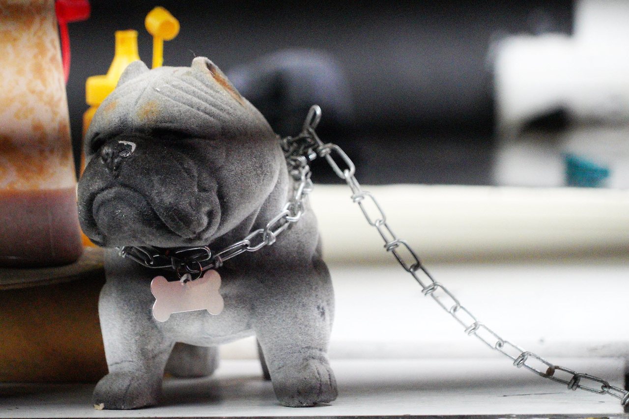 [꾸미기]DSC06443 복사.jpg