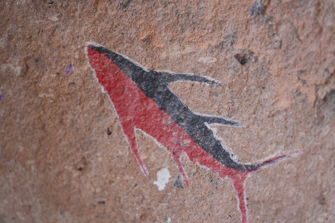 [꾸미기]DSC01450 복사.jpg