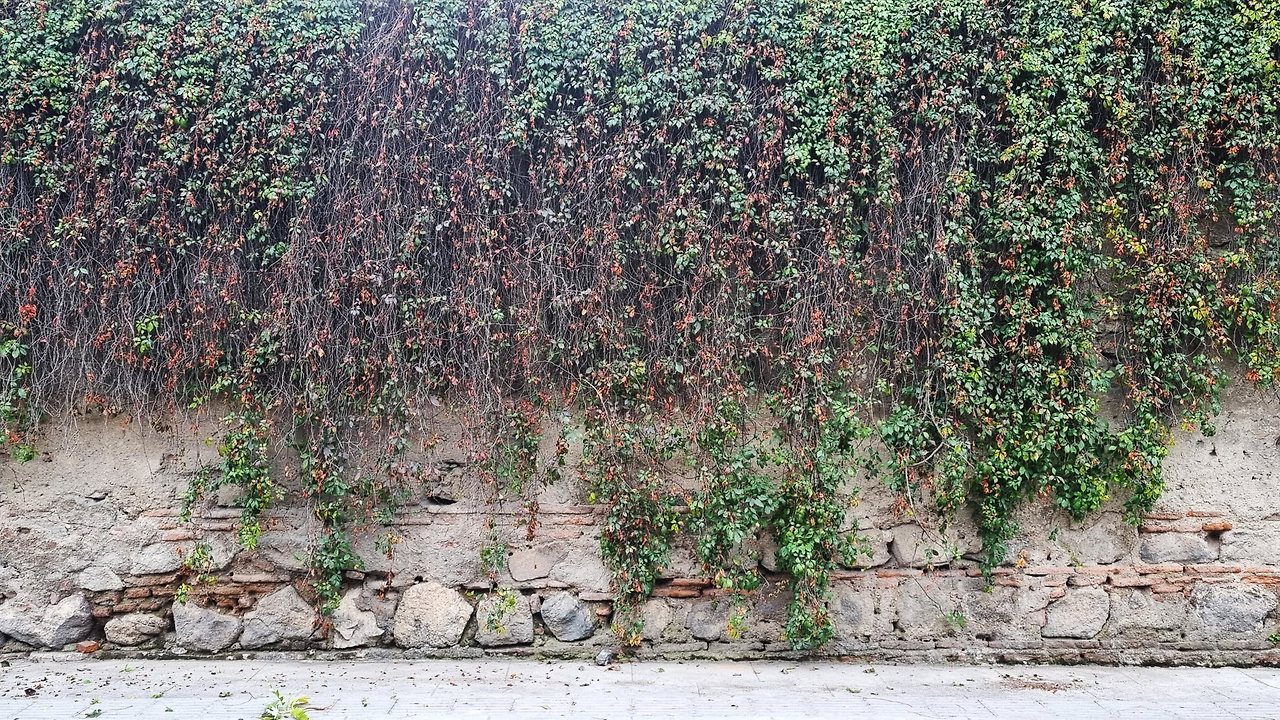 [꾸미기]20241031_112341 복사.jpg