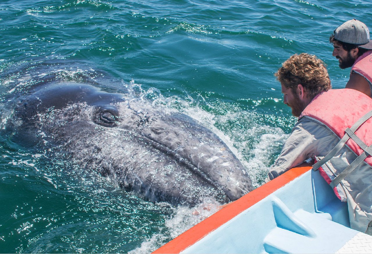 [꾸미기]screen-shot-2018-05-14-at-11-46-53-am f.jpg