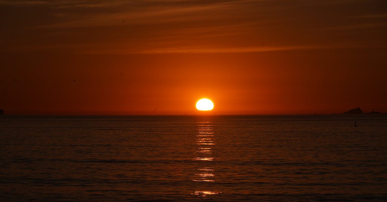 [꾸미기]DSC05919 복사t.jpg