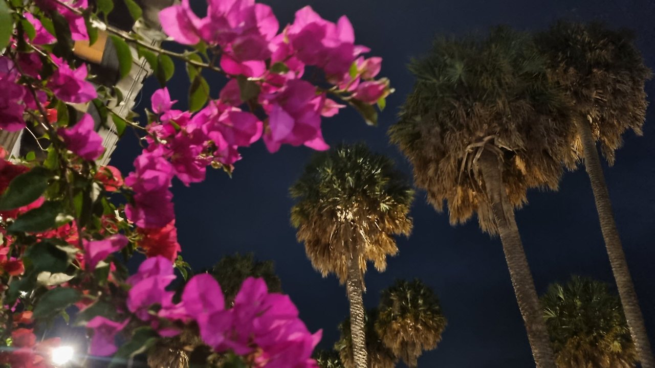 [꾸미기]20241115_231607 - 복사본.jpg