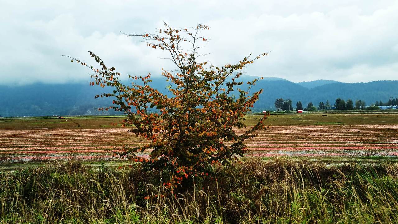 [꾸미기]20251004_113958(0) 복사.jpg