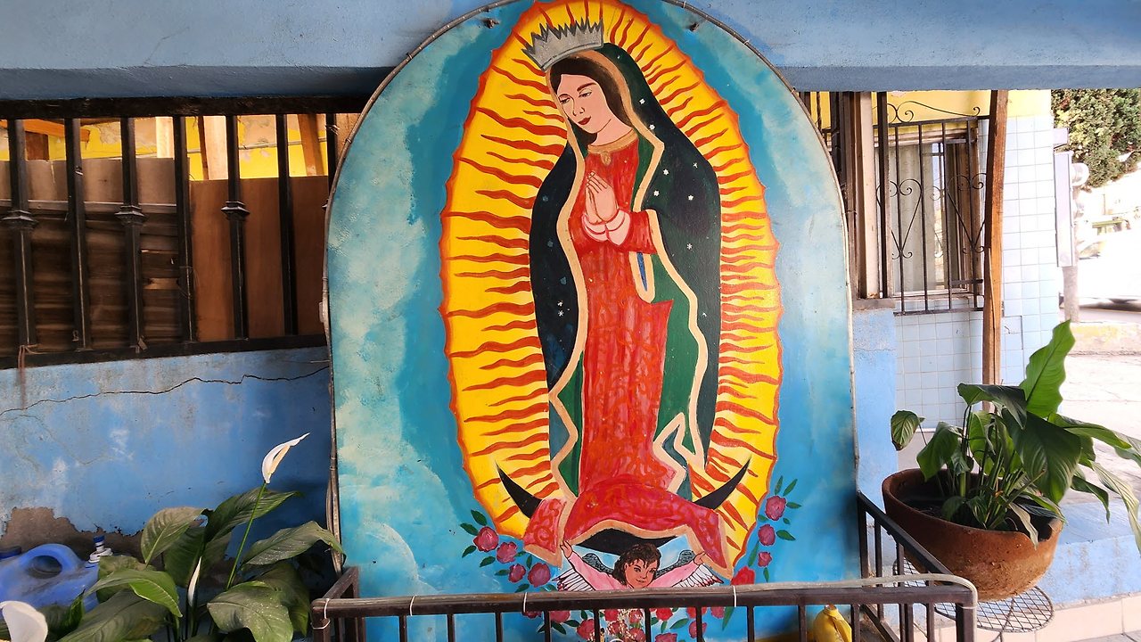 [꾸미기]20231024_151710 복사.jpg