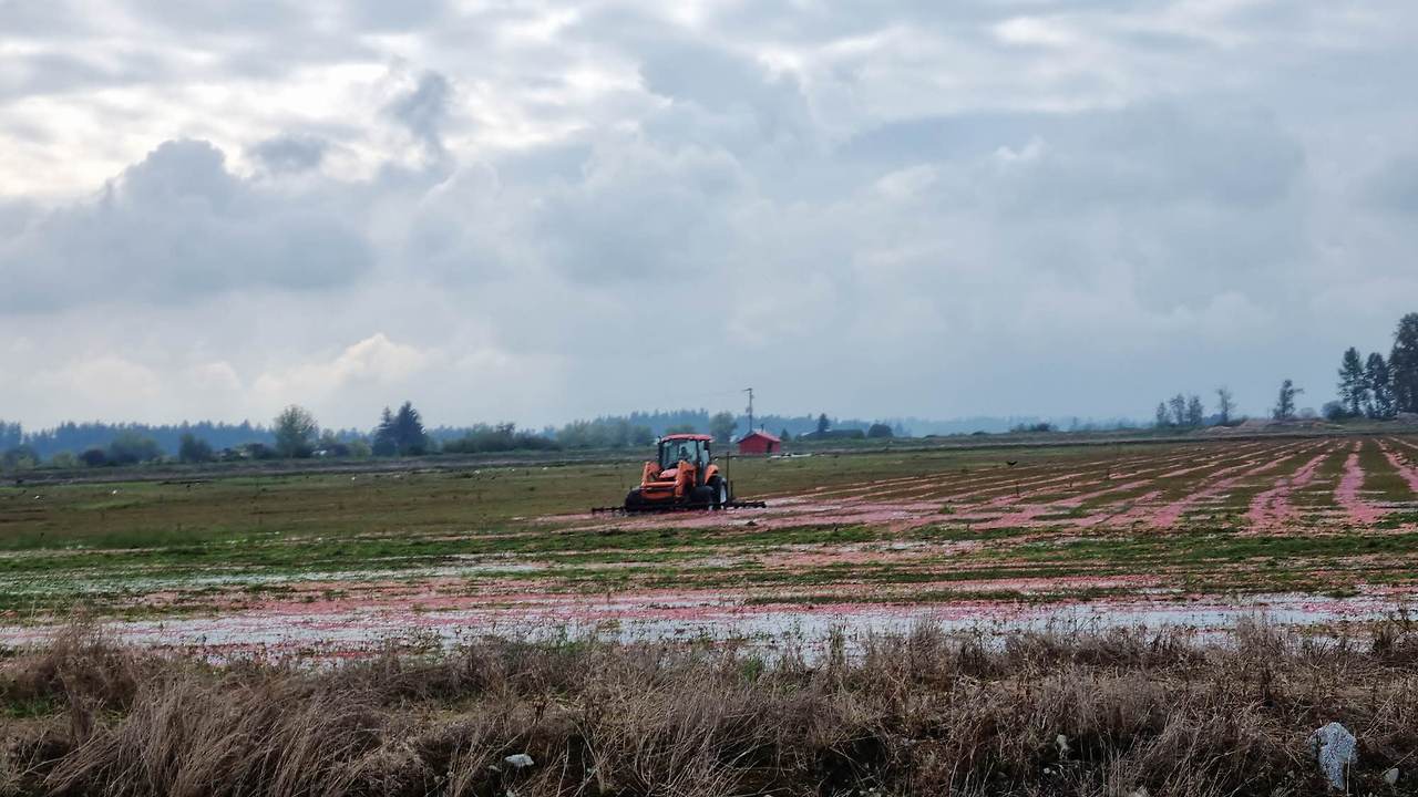 [꾸미기]20251004_121251 복사.jpg