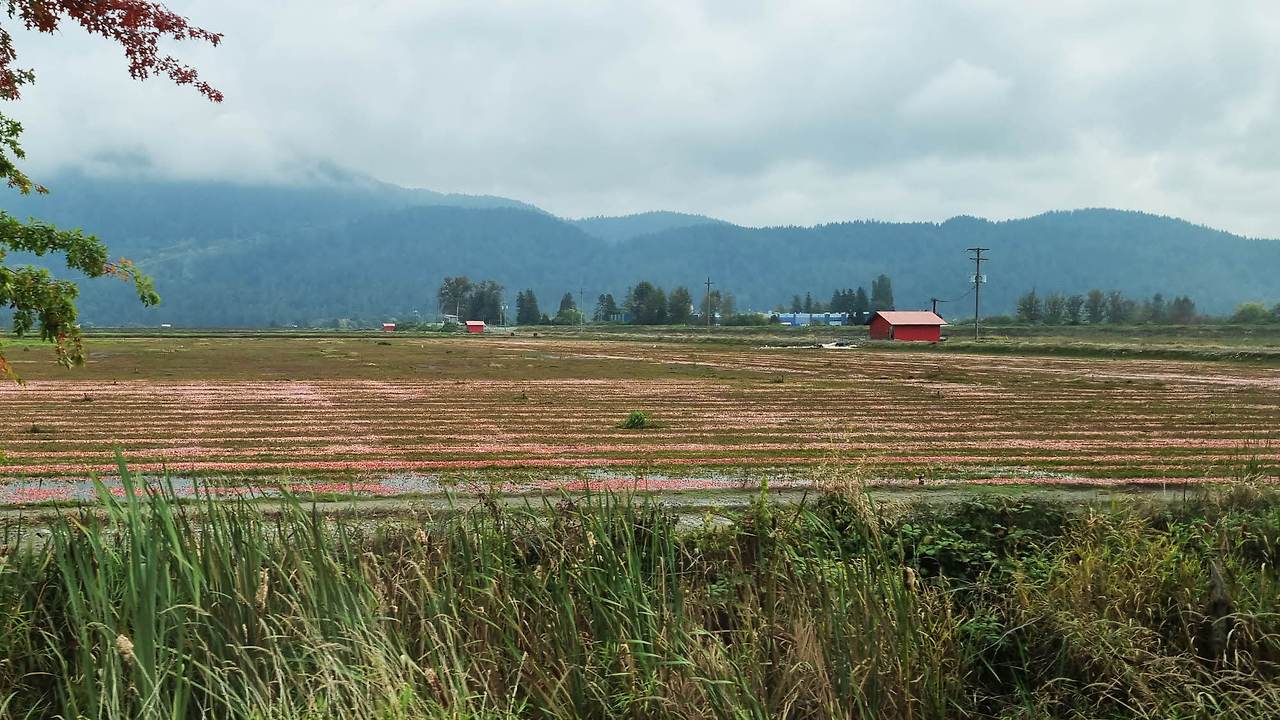 [꾸미기]20251004_113956 복사.jpg