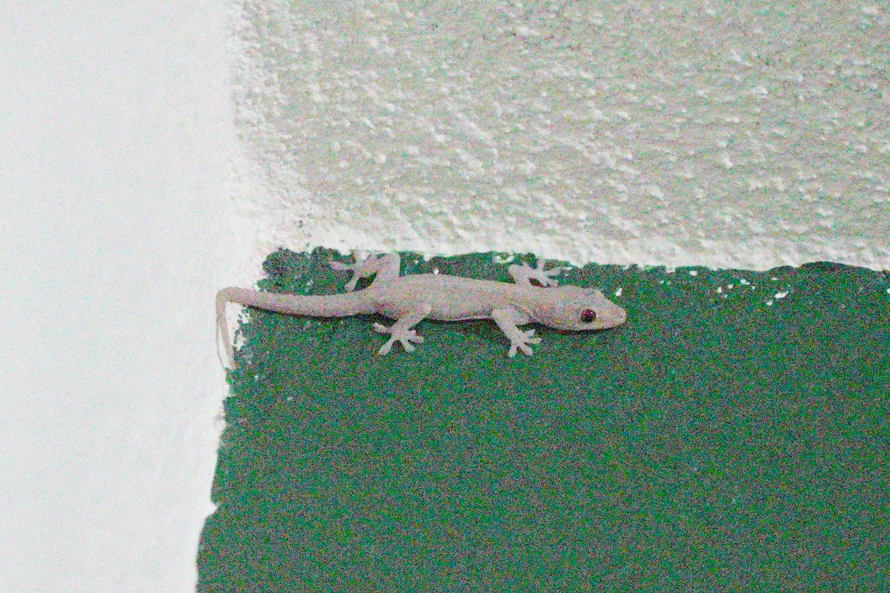 [꾸미기]DSC05600 복사.jpg