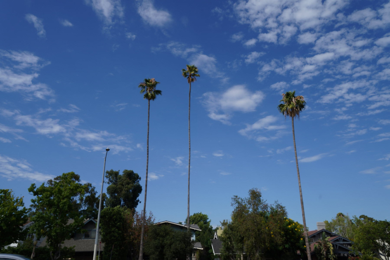 [꾸미기]DSC02406 복사.jpg