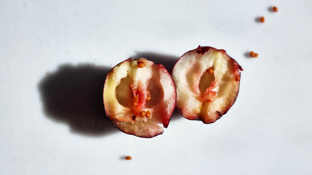 [꾸미기]20251005_132920 복사.jpg