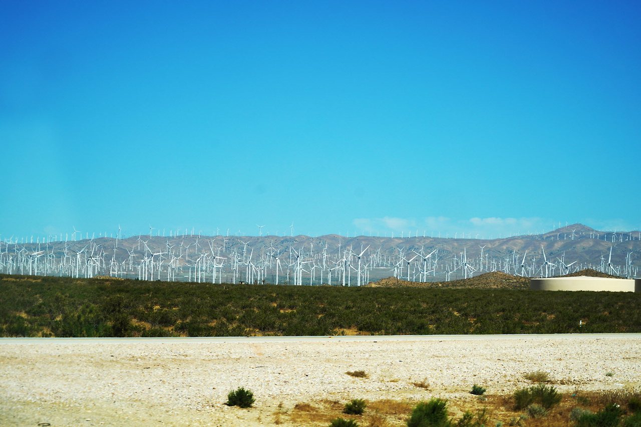 [꾸미기]DSC06449 복사.jpg