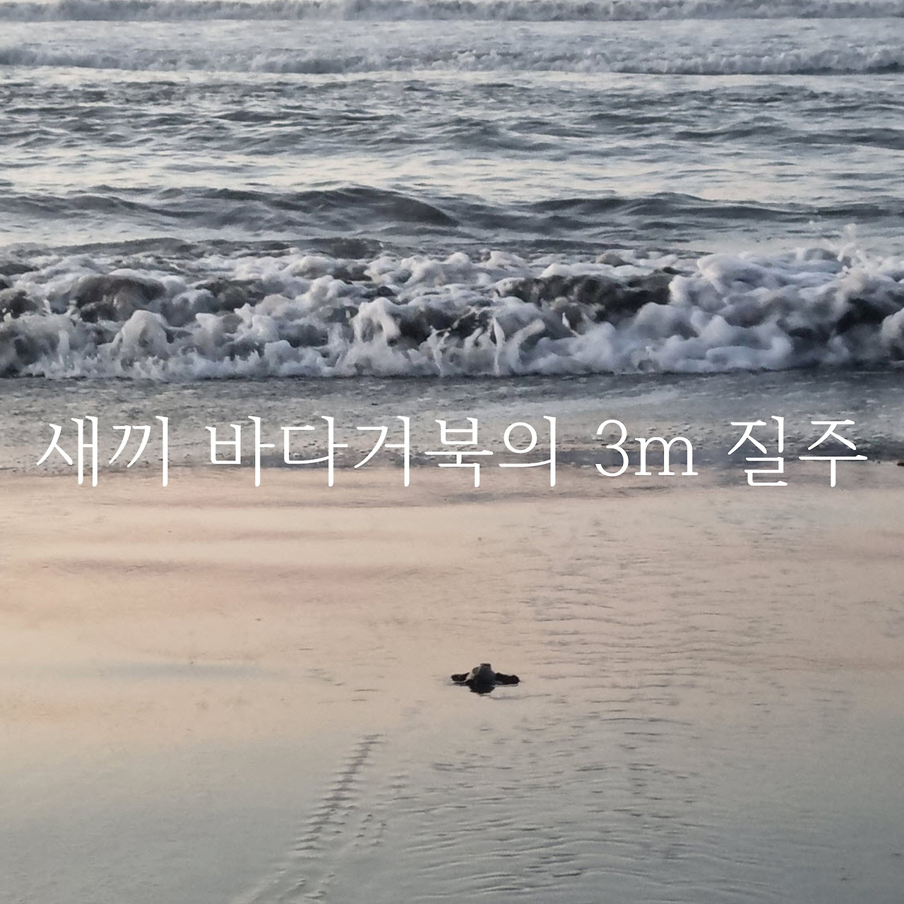 제목 없음-1.jpg