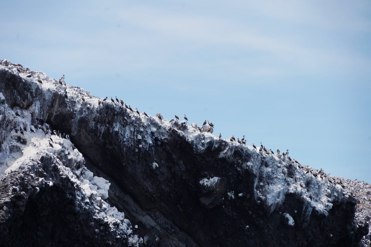 [꾸미기]DSC03736 복사.jpg