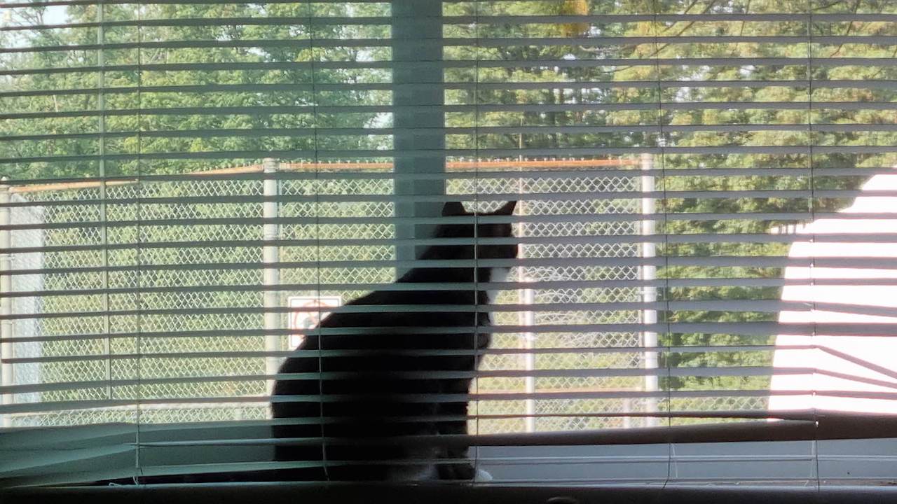 [꾸미기]20250904_175851 복사t.jpg